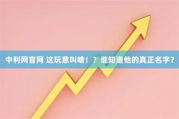 中利网官网 这玩意叫啥!?谁知道他的真正名字?